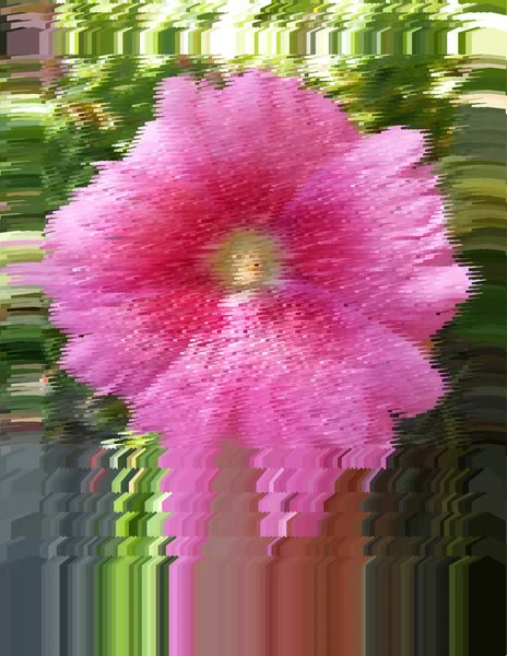 Fond floral romantique. Une fleur. Gros plan rose sur vert . — Image vectorielle