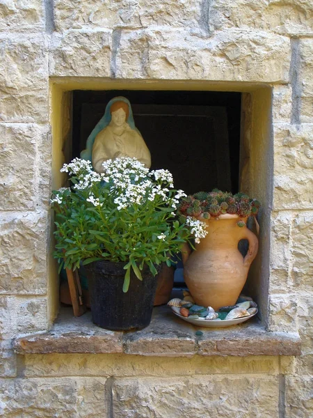 Home various flowers in pots. Design Italian courtyards — Stock Photo, Image