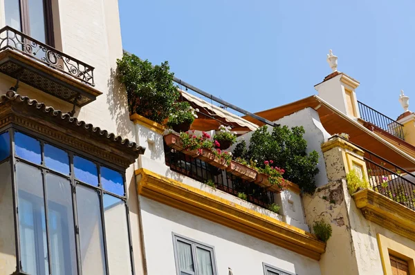 Historic buildings and monuments of Seville, Spain. Spanish architectural styles of Gothic and Mudejar, Baroque — Stock Photo, Image