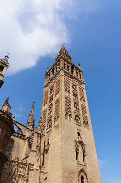 Zabytkowe budynki i pomniki, Sewilla, Hiszpania. Catedral de Santa Maria de la Sede. — Zdjęcie stockowe