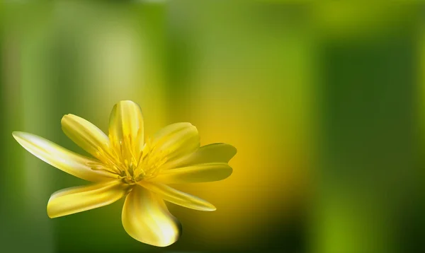 Fundo floral romântico. Flor. Rose close-up em verde . — Vetor de Stock