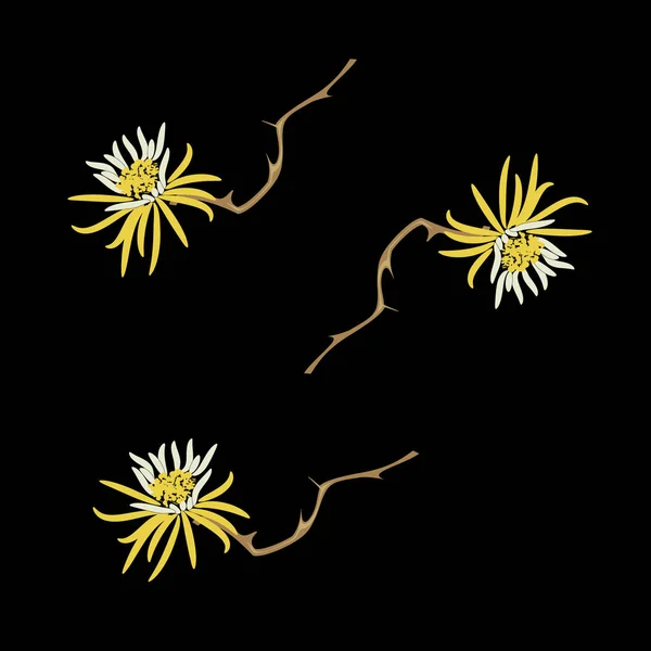 Fun fleur colorée en fleurs motif sans couture sur noir — Image vectorielle
