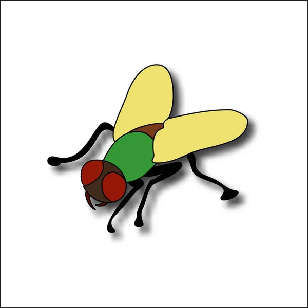 Mosca de dibujos animados, insecto con colores brillantes. Volumen de mosca doméstica — Vector de stock