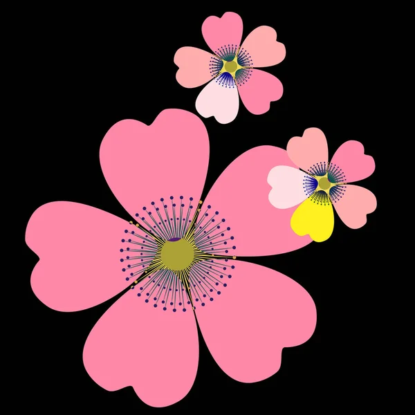 Fondo floral romántico. Flor. Margaritas japonesas — Vector de stock