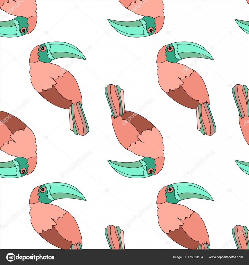 Arrière Plan Floral Romantique Dessin Animé Oiseau Toucan