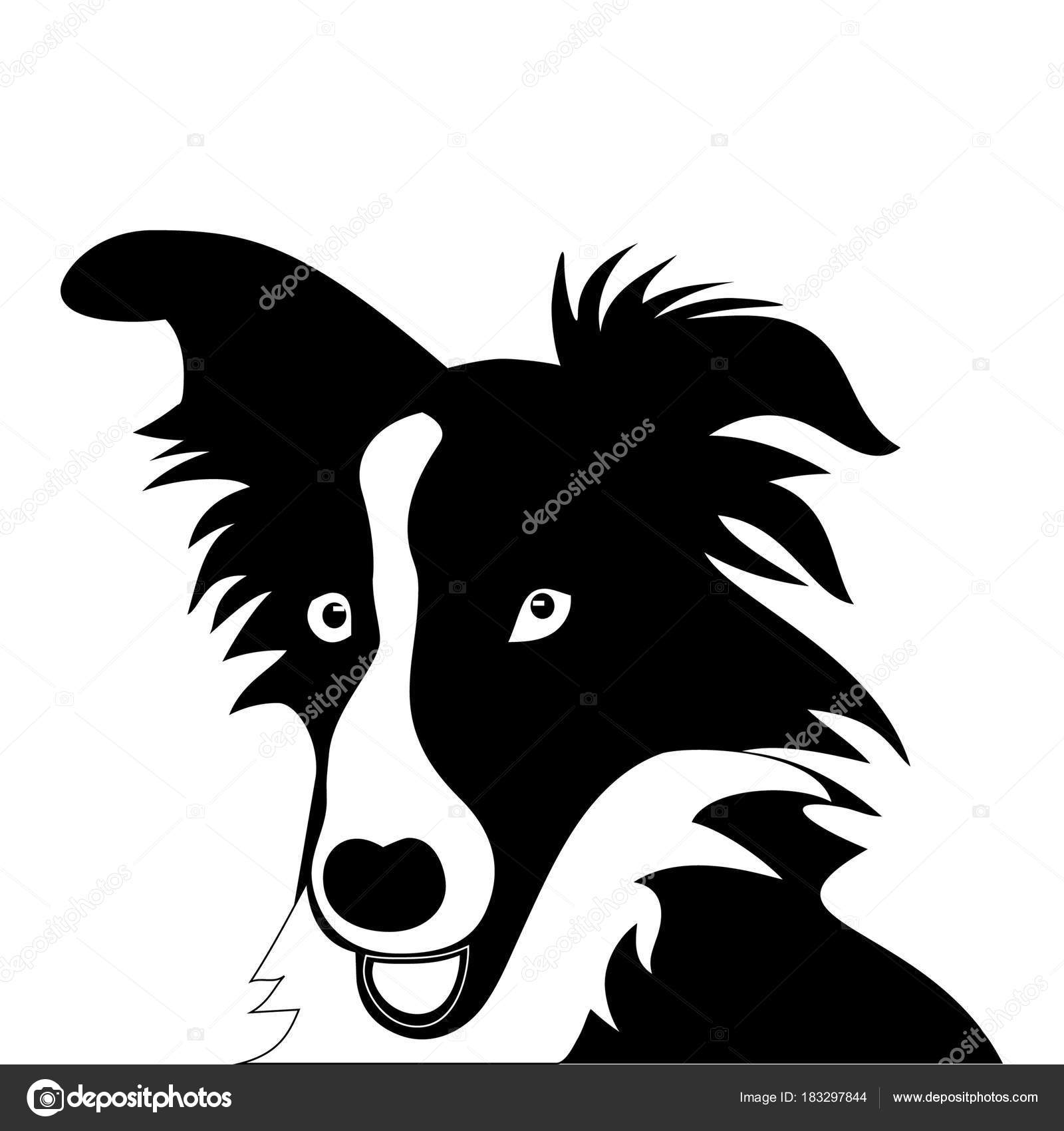 Silhouette De Drôle Ludique Petit Chiot Border Collie