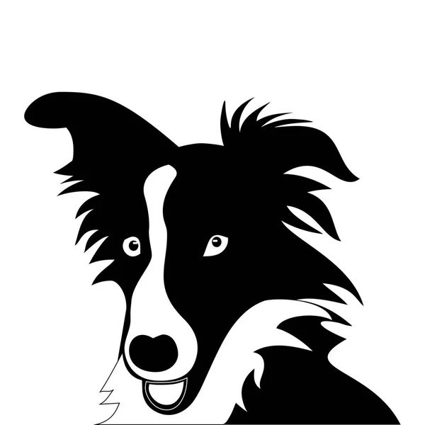 Silueta de divertido cachorrito juguetón. border collie — Vector de stock