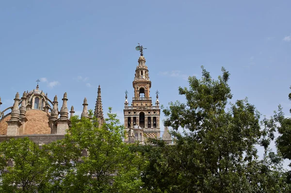 Historiska byggnader och monument i Sevilla, Spanien. Catedral de Santa Maria de la Sede. — Stockfoto