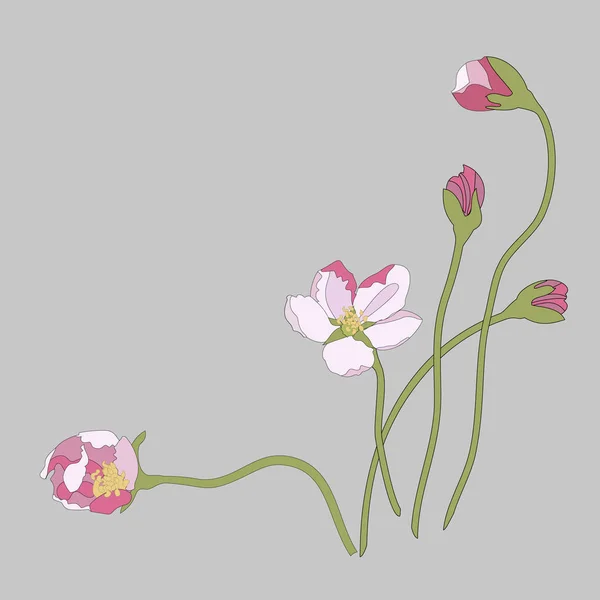 Roze kersenbloesem sakura bloemen in Japanse stijl — Stockvector