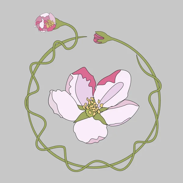 Roze kersenbloesem sakura bloemen in Japanse stijl — Stockvector