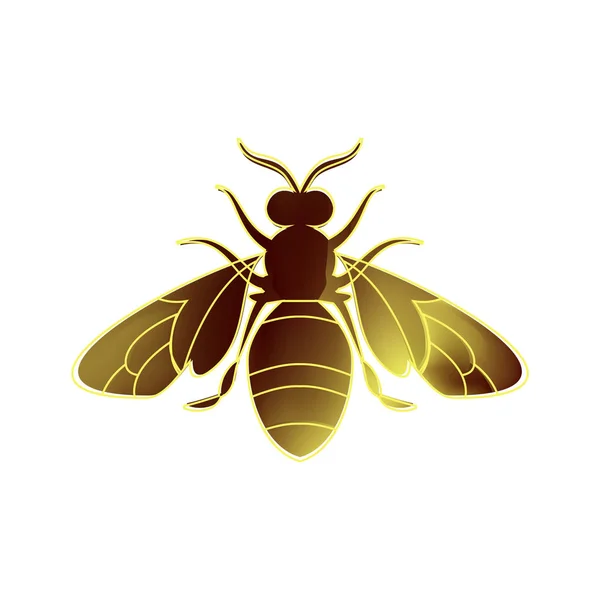 Abeja dorada útero sobre fondo blanco . — Vector de stock