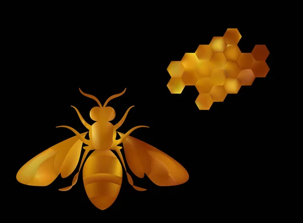 Arany honey bee méh fehér háttér. — Stock Vector