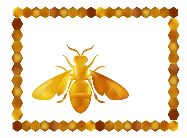 Zlatý med včelí dělohy na bílém pozadí. — Stockový vektor