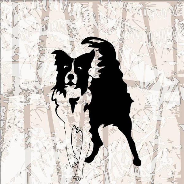 Silhouette de drôle de petit chiot ludique. frontière collie — Image vectorielle