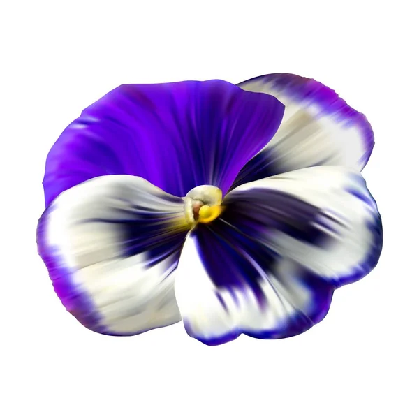 Kleurrijke bloem achtergrond met viooltjes bloemen. Winter bloem Behang — Stockvector