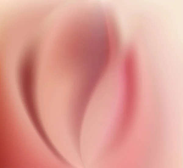 Весенний Шелк Абстрактный Фон Розовый Пепел Придает Свежесть Счастье Женский — стоковый вектор