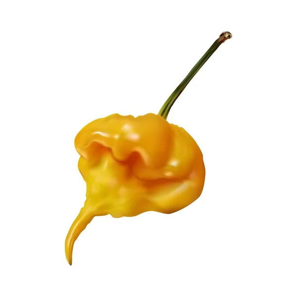 Capsicum chinense fruta, capsicum caliente con sabor a quemadura. Primeros planos de pimiento amarillo picante tropical — Archivo Imágenes Vectoriales