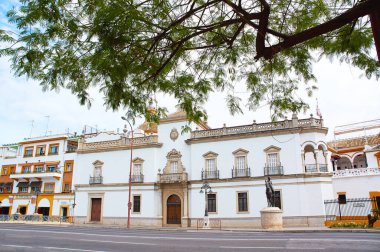 İspanya, Sevilla 'nın tarihi binaları ve anıtları. Mimari detaylar, taş cephe ve Avrupa müzeleri. İspanyol mimarisi. PLAZA de TORO
