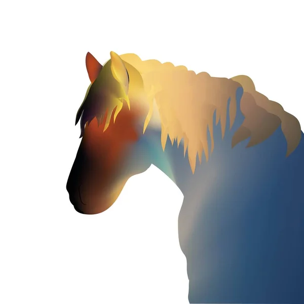 Silueta Černá Bílá Krásný Arabský Kůň Rozvíjející Hřívou — Stockový vektor