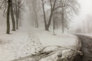 Sis ile bir kış gününde eski park