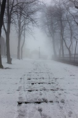 Sis ile bir kış gününde eski park