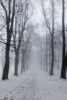 Sis ile bir kış gününde eski park