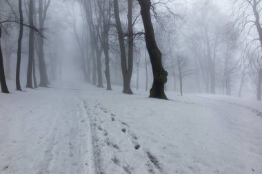 Sis ile bir kış gününde eski park