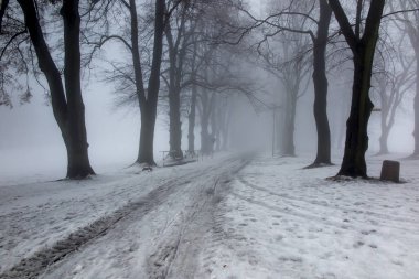 Sis ile bir kış gününde eski park