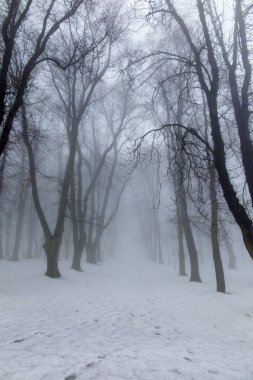 Sis ile bir kış gününde eski park