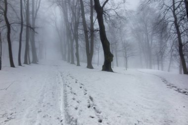 Sis ile bir kış gününde eski park