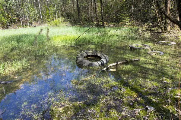 Gamla gummi däck kvar i skogen — Stockfoto
