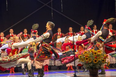 Koszecin, Polonya, 2 Temmuz 2015: Şarkı ve dans Ensemb konser
