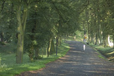 Bir kadın bir ıhlamur sokak yürür 