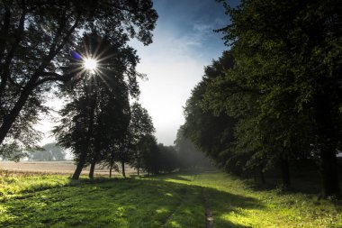 Ihlamur sokak arasında bir yaz sabahı alanları