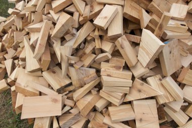 woods, parça tec evde inşaatı sırasında tahakkuk