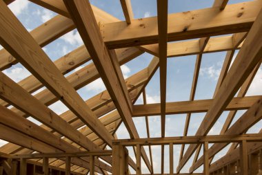 İskelet teknolojisinde bir ev inşa