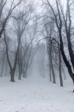 Sis ile bir kış gününde eski park