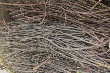 Fırça, Isıtma Fırınları ateş silindir mini değirmenler için yakıt.