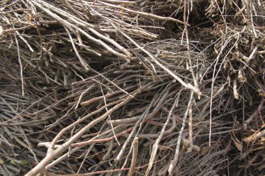 Fırça, Isıtma Fırınları ateş silindir mini değirmenler için yakıt.