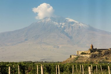 Ararat vadi üzüm alanında. Khor Virap ve Mount Arara görünümü