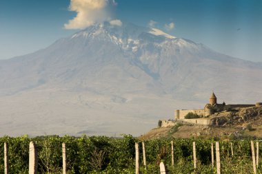 Ararat vadi üzüm alanında. Khor Virap ve Mount Arara görünümü