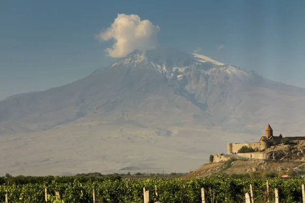 Winogron pola w dolinę Ararat. Zobacz Khor Virap znacznie i Mount Arara — Zdjęcie stockowe