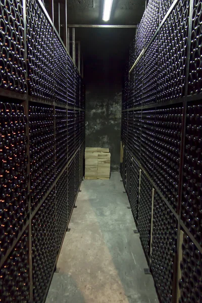 어두운 지하실에 저장 된 와인 병 가득 — 스톡 사진