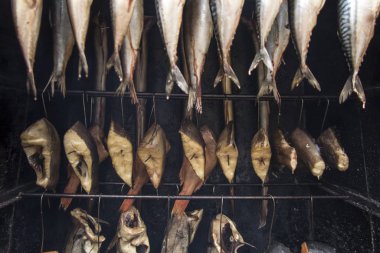 Sigara balık kanca üzerinde 