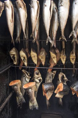 Sigara balık kanca üzerinde 