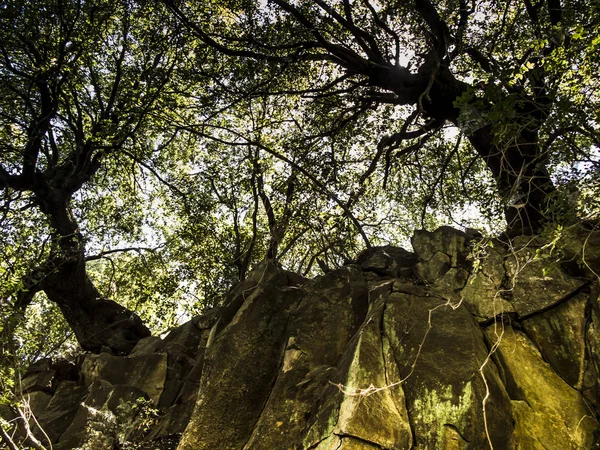 Caídas Piedras Parque Área Recreación Manantial Del Río Hermón Reserva — Foto de Stock