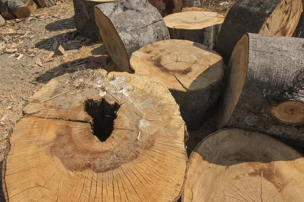 Підготовка деревини до палива — стокове фото