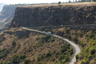 bir dağ yolu tarafından tahrik sığır sürüsü 