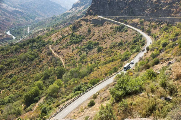 Una mandria di bovini guidati da una strada di montagna — Foto Stock