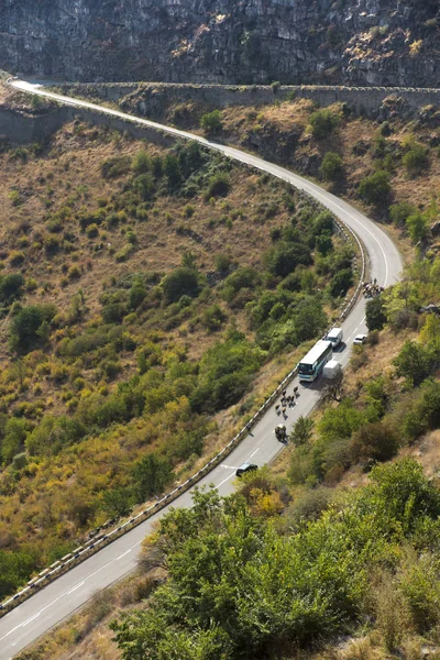 a herd of cattle driven by a mountain road